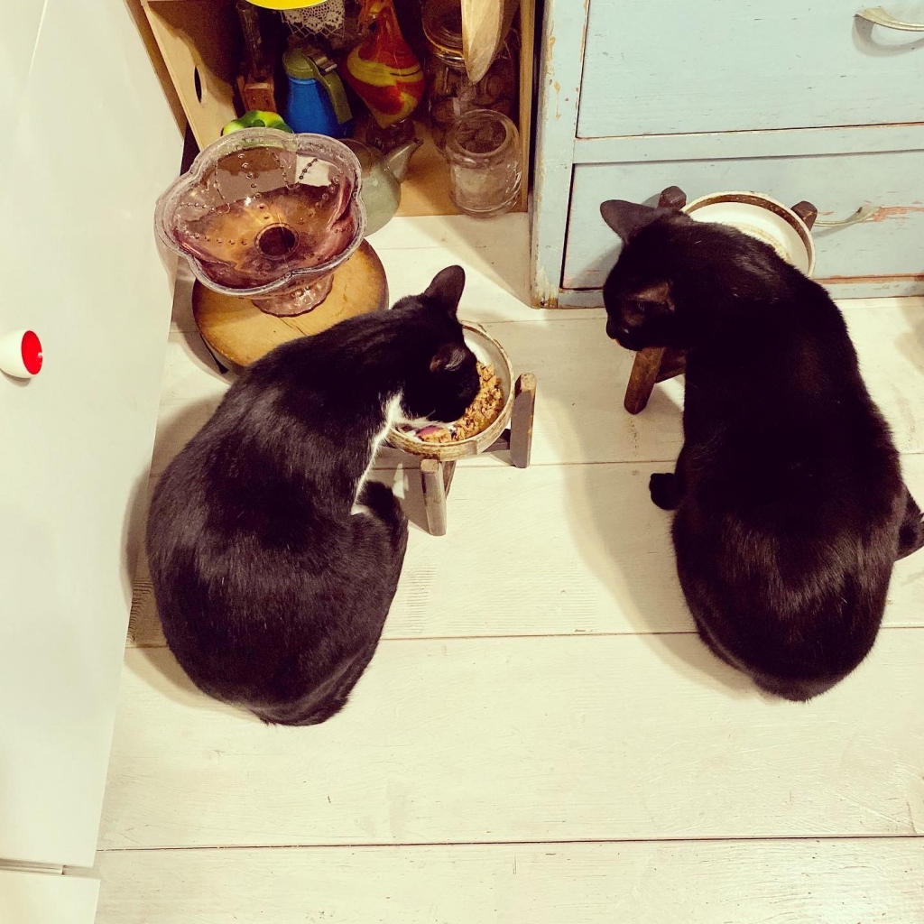 おこつぼ「黒猫の一休み」3点セット （houti blog）