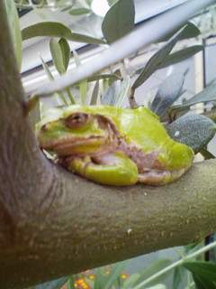 20090506180554.jpg
