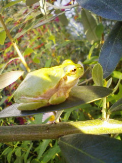 20090509163329.jpg
