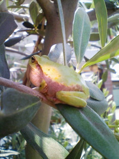 20090511130844.jpg