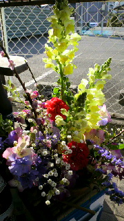 2013032117540000.jpg