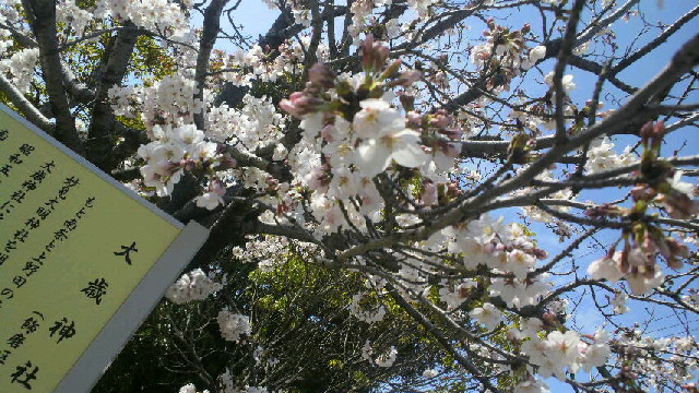 2016040215170000.jpg