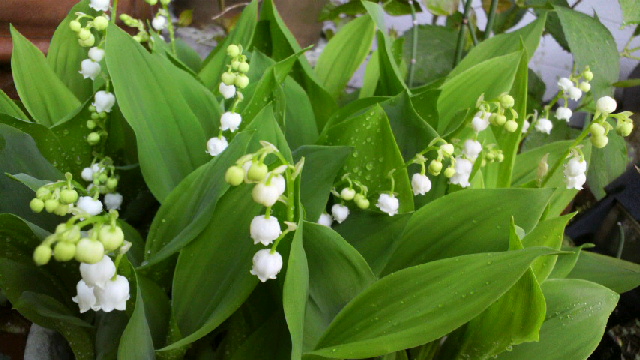 2016042616400000.jpg