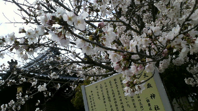 2017040800150000.jpg