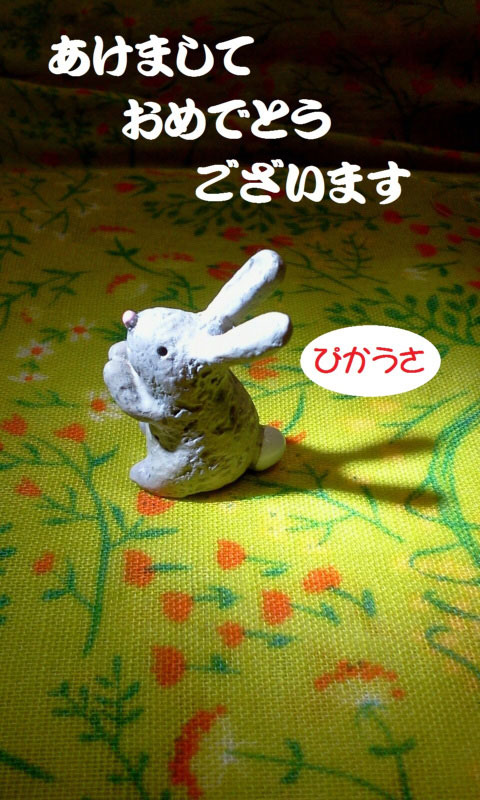 20110106pikausa_newYear.jpg