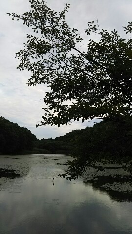 IMG_20170723_221529.jpg