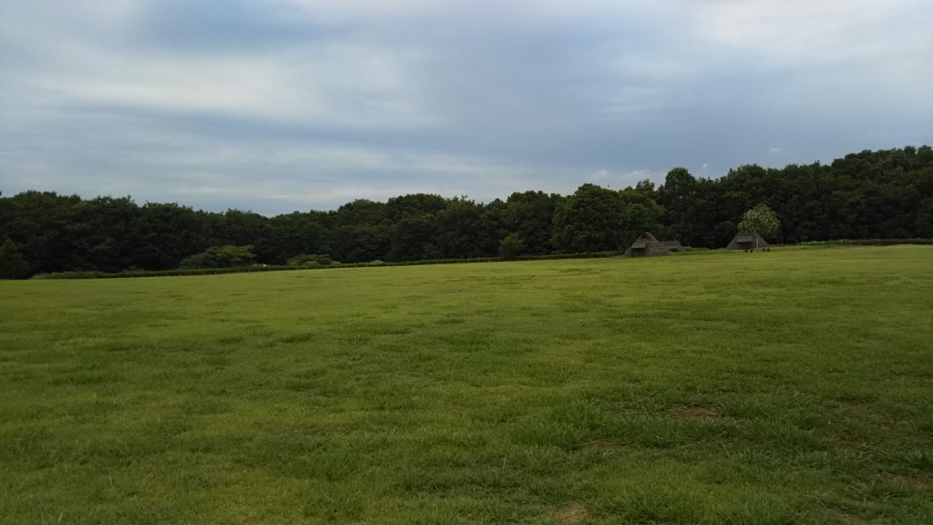 DSC_0213.JPG