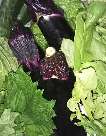 IMG_20170802_152659.jpg