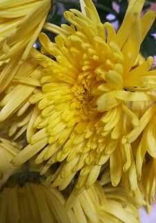 IMG_20171026_232949.jpg