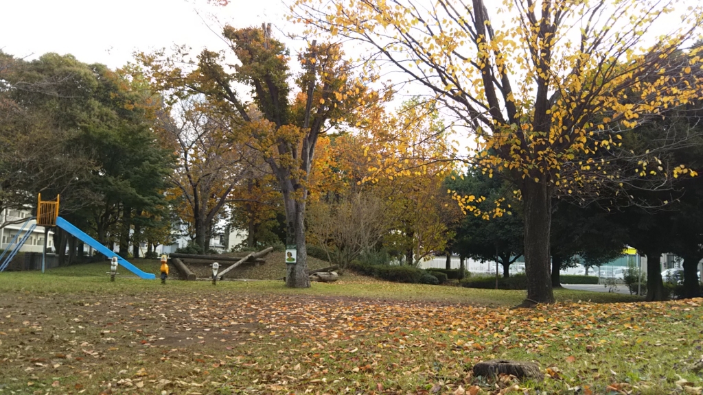 DSC_0172.JPG
