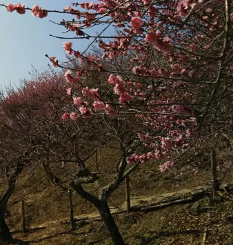 IMG_20180304_192337.jpg