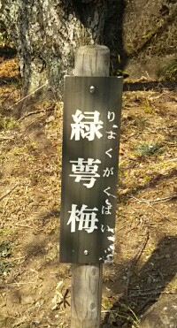 IMG_20180304_192056.jpg
