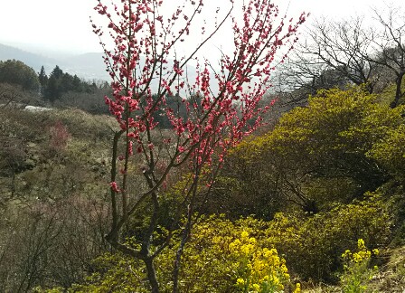IMG_20180304_191921.jpg