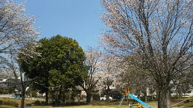 IMG_20180329_160833.jpg