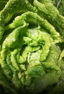 IMG_20180327_073531.jpg