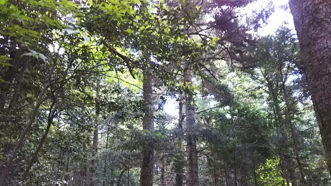 IMG_20180520_222248.jpg