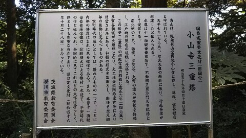 20180828_1739148.jpg