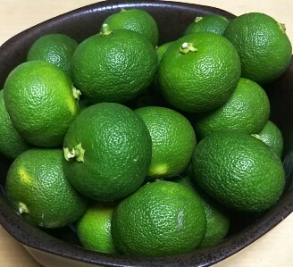 20180915_1751788.jpg