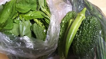20180915_1751792.jpg