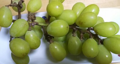20180915_1751831.jpg