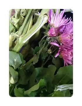 20181101_1787624.jpg