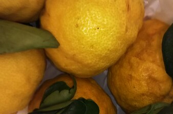 20181204_1811921.jpg