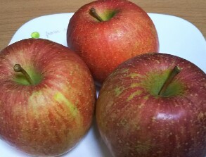 20181208_1814689.jpg