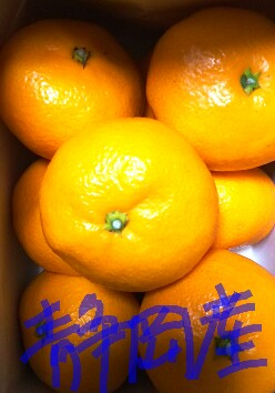 20181229_1829205.jpg