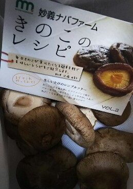 20190228_1865957.jpg