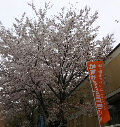20190415_1894647.jpg