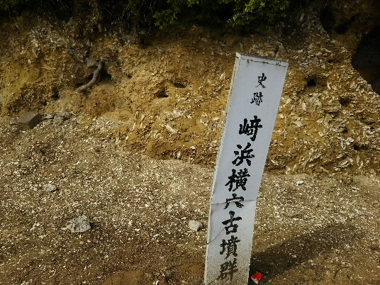 20190415_1894666.jpg