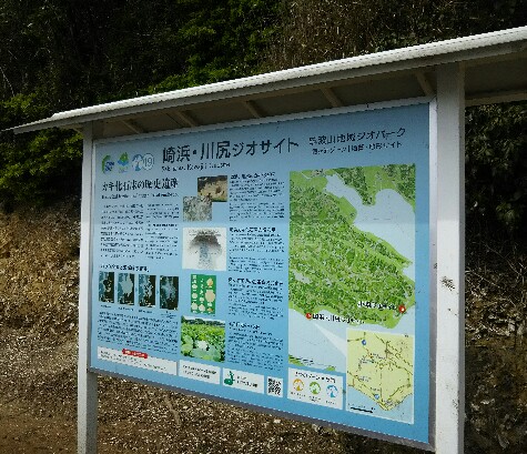20190415_1894672.jpg