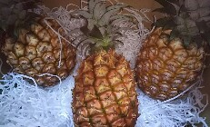 20190620_1935191.jpg
