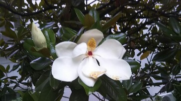 20190630_1941315.jpg