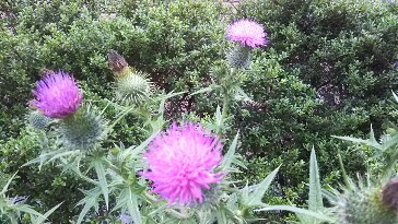 20190630_1941321.jpg