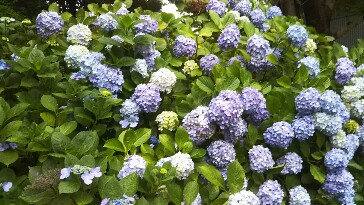 20190630_1941323.jpg