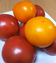 20190630_1941325.jpg