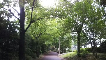 20190630_1941327.jpg