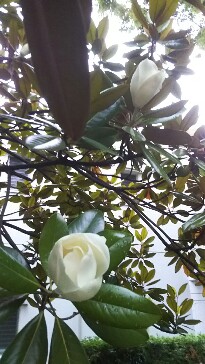 20190630_1941329.jpg