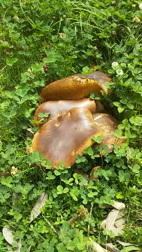 20190712_1948056.jpg