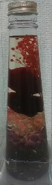 20190712_1948060.jpg