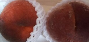 20190824_1973194.jpg