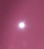 20190914_1985245.jpg