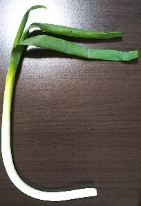 20191119_2028048.jpg