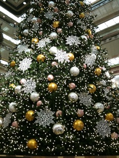 IMG_6807.jpg