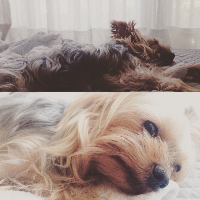 20150902012212.jpg