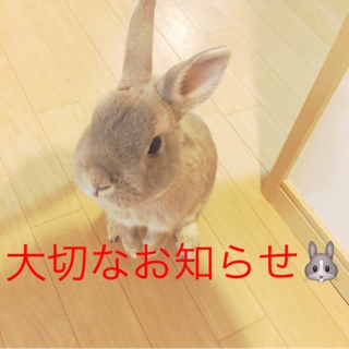 Me Ve メーヴェ 行橋の一層残しホームネイルサロン