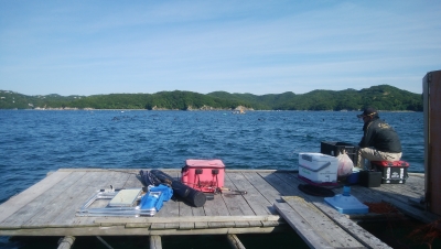 IMG_20170604_160548.jpg