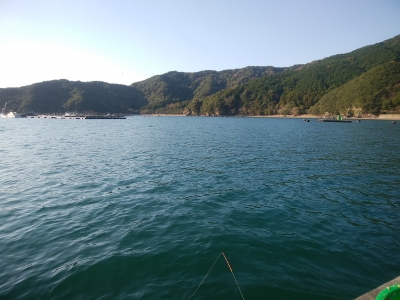 IMG_20171116_083501.jpg