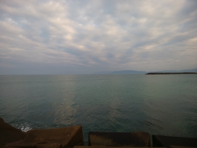IMG_20171222_075033.jpg